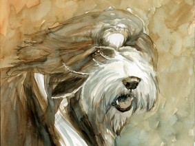 Beardie (Bearded Collie) painting