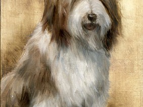 Bearded Collie (Beardie) painting