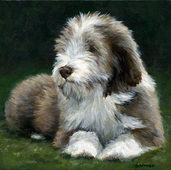 Brown Beardie (Bearded Collie) puppy painting