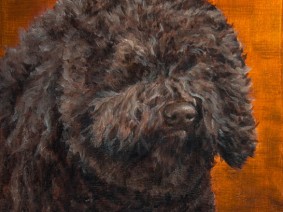 Barbet Puppy Painting