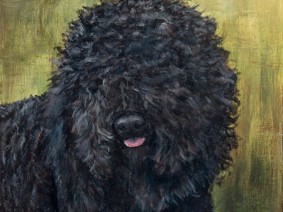 Barbet Painting
