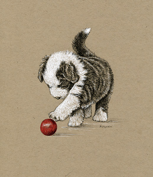 8. Beardie Pup with Red Ball