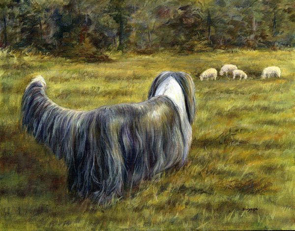 Bearded Collie (Beardie) with sheep painting