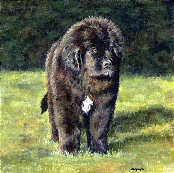 Newfoundland Puppy (Newfie) Painting