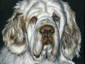 Clumber Spaniel Painting