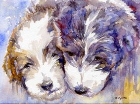 Bearded Collie (Beardie) Puppies Painting