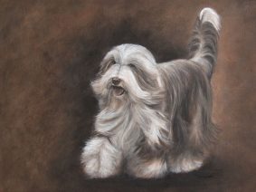 Bearded Collie (Beardie) Painting