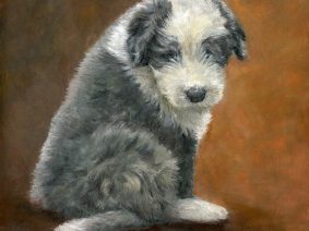 Bearded Collie (Beardie) Puppy Painting