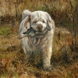 Clumber Spaniel painting