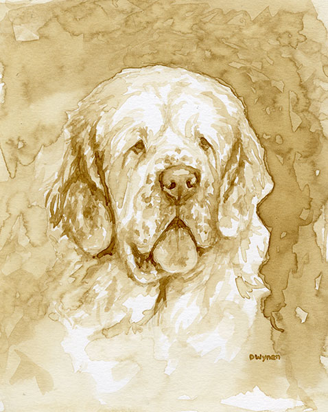 Clumber Spaniel Coffee Painting