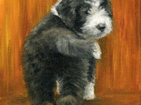Bearded Collie (Beardie) Puppy Painting