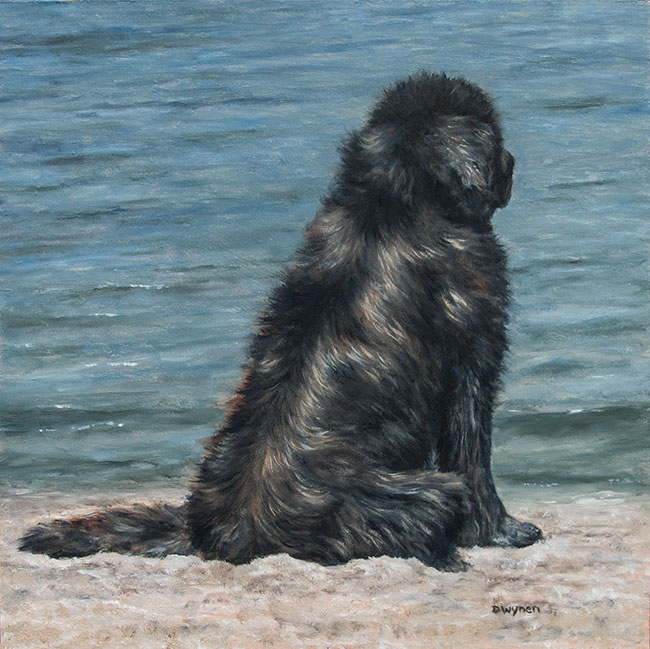 Newfoundland Dog painting