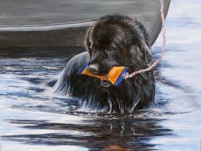 Newfoundland Dog (Newfie) Painting