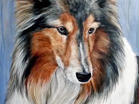 Shetland Sheepdog (Sheltie) painting