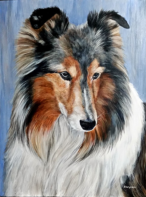 Shetland Sheepdog (Sheltie) painting