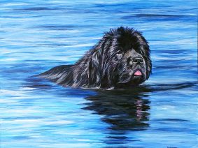 Newfoundland Dog Painting