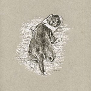 Day31Crawl