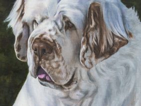 Clumber Spaniel Painting