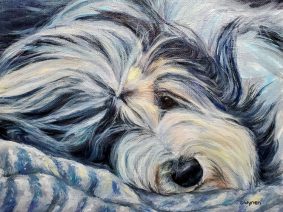 Bearded Collie Painting