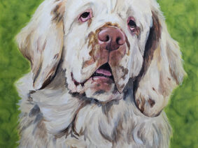Clumber Spaniel painting